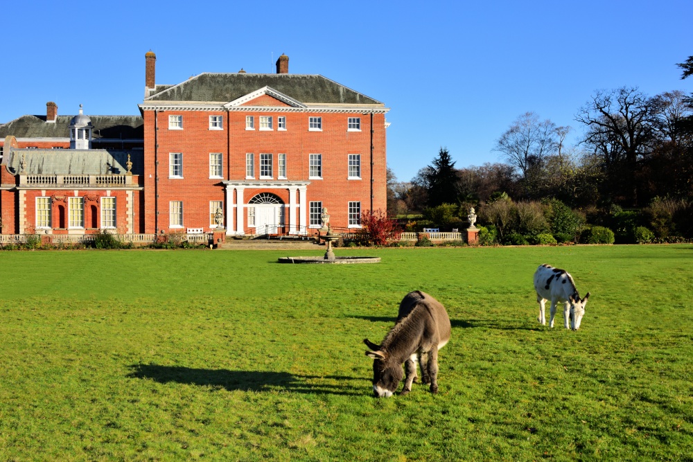 Hatchlands Park House with Donkeys Morris and Callum