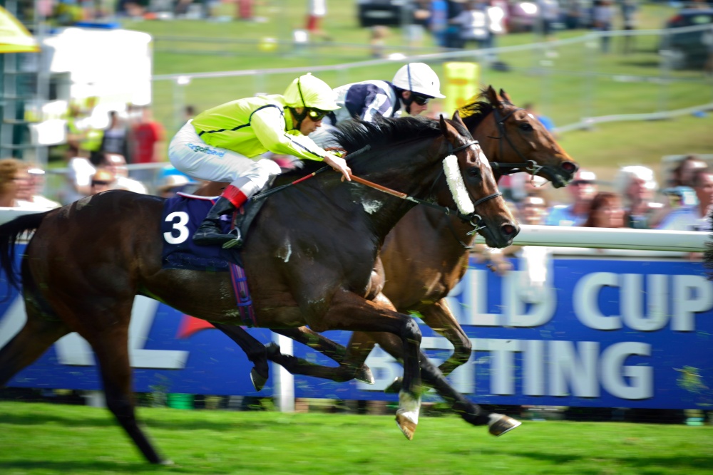 Full Race Mode Towards the Finish Line in the Epsom Derby
