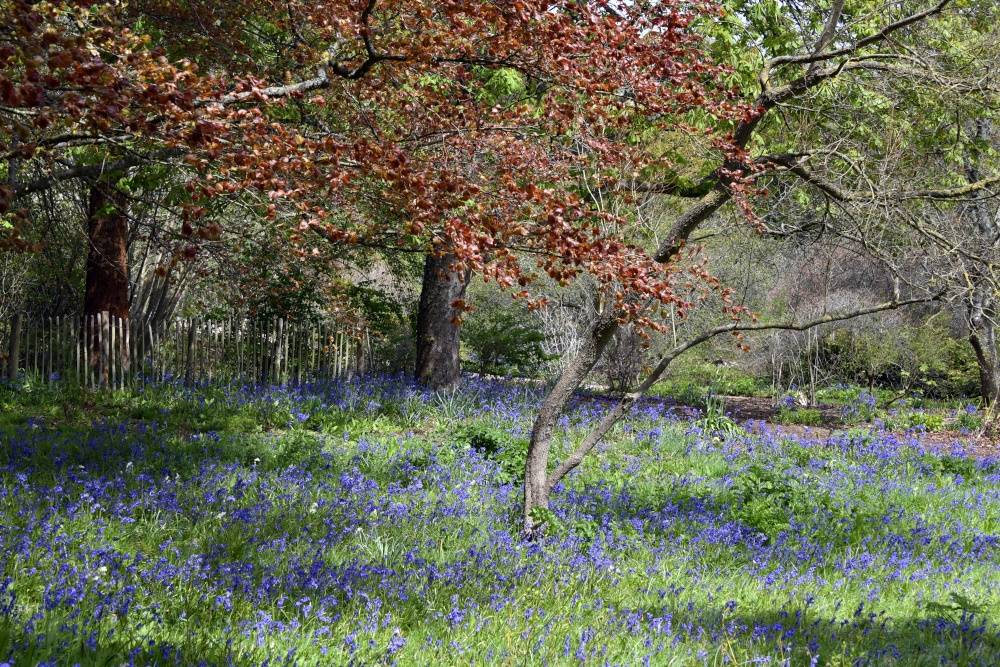 Scotney Castle Grounds