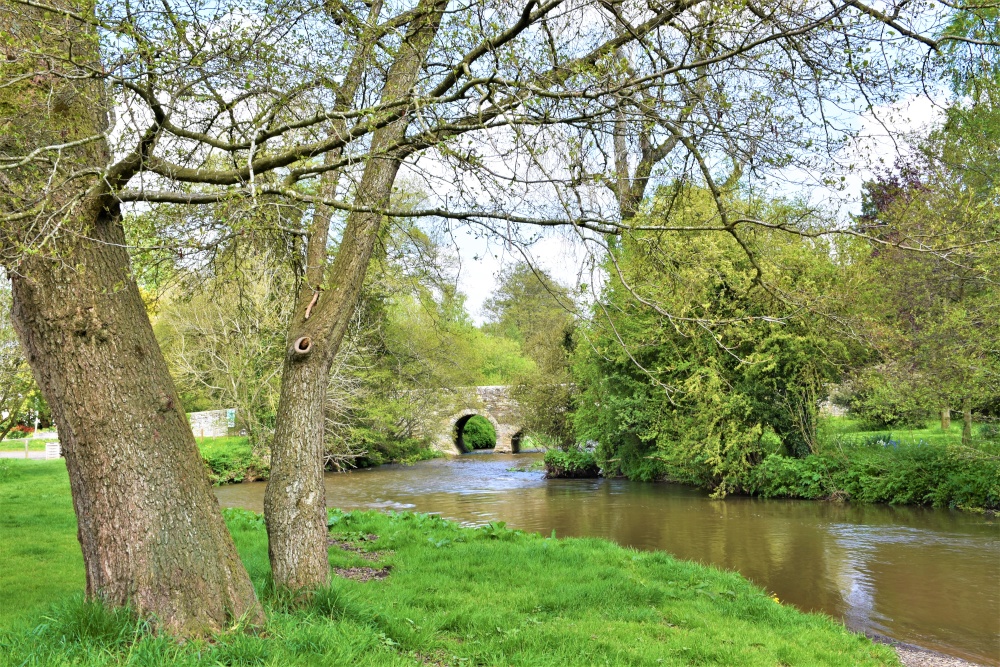 Photograph of The River Arrow at Pembridge.