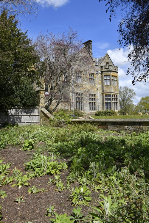 Scotney House and garden
