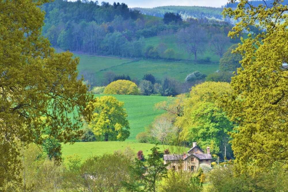 A picture of Aston on Clun