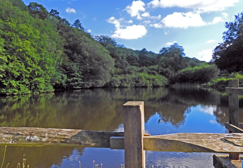 The hand made Hammer Pond at Friday Street
