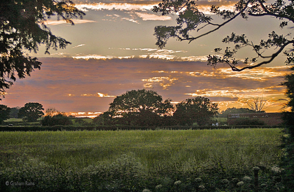 Spring into Summer Shillingstone