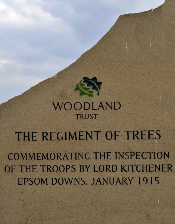 Langley Vale Wood, World War I memorial site.