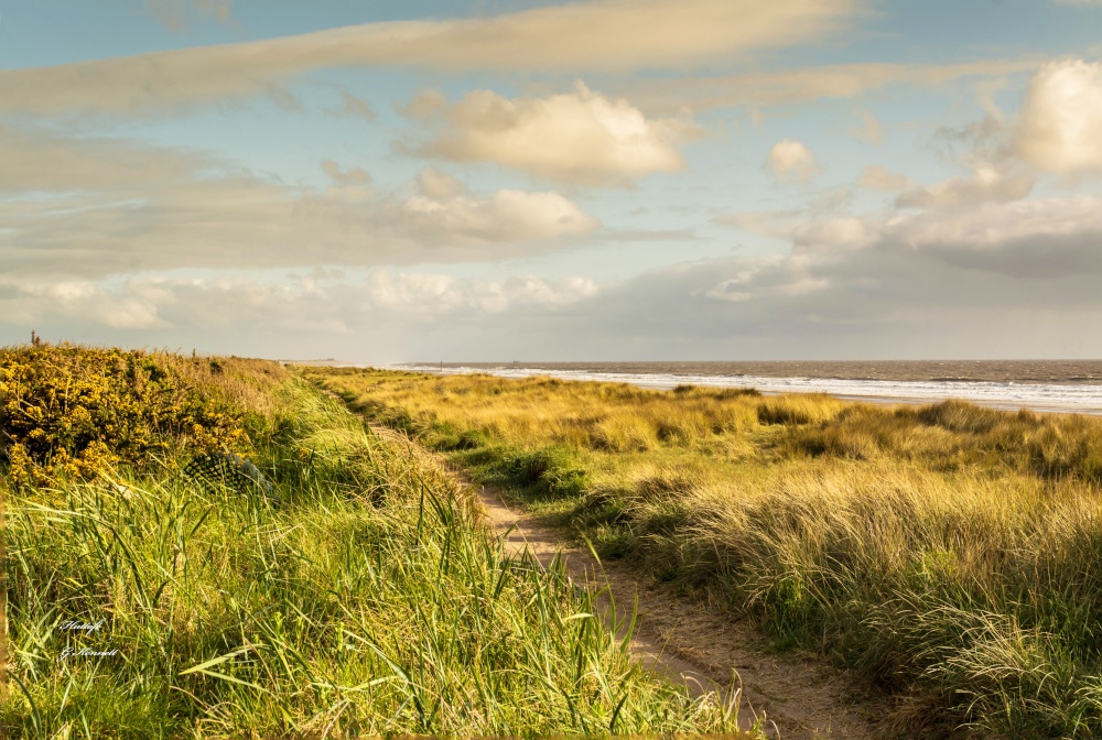Coast path at Sandilands