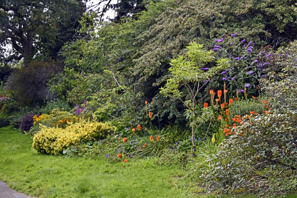 Borde Hill Garden