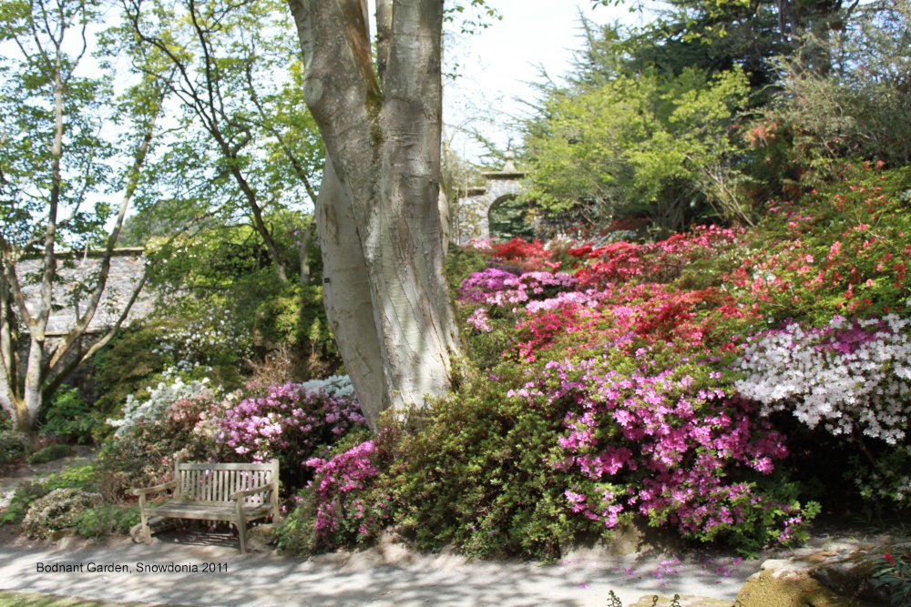 Bodnant Garden