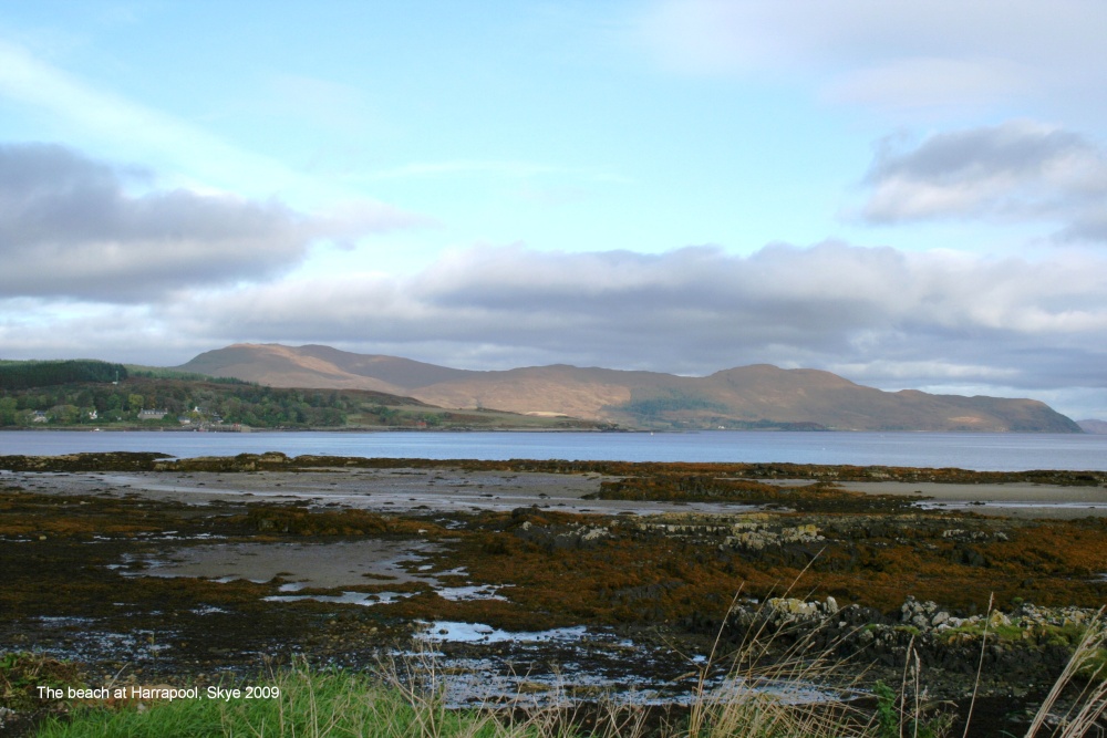 The beach at Harrapool