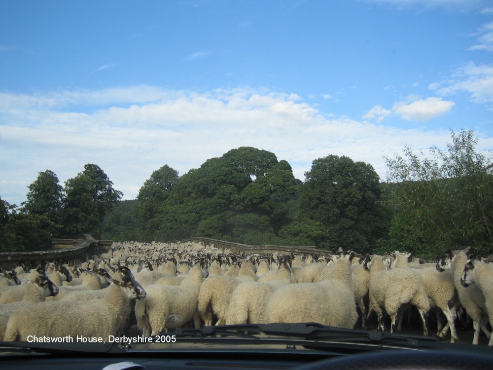 Congestion on the way to Chatsworth House