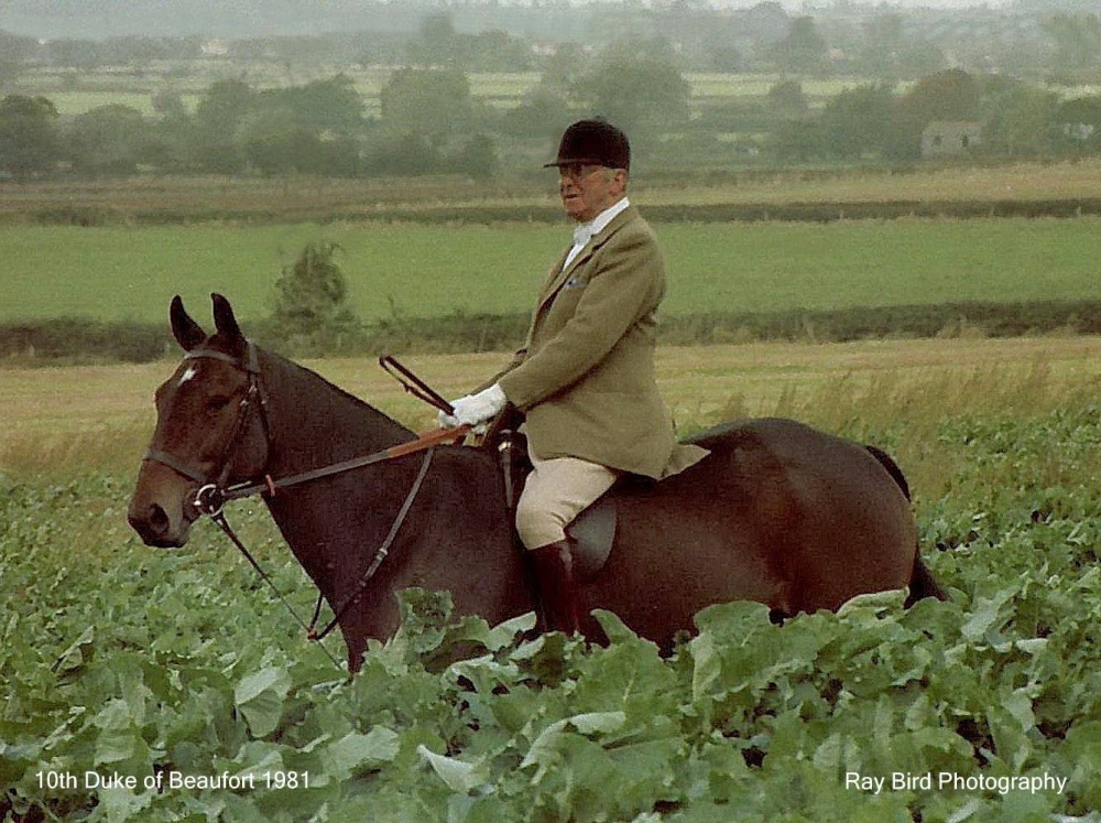 The 10th Duke of Beaufort 1981