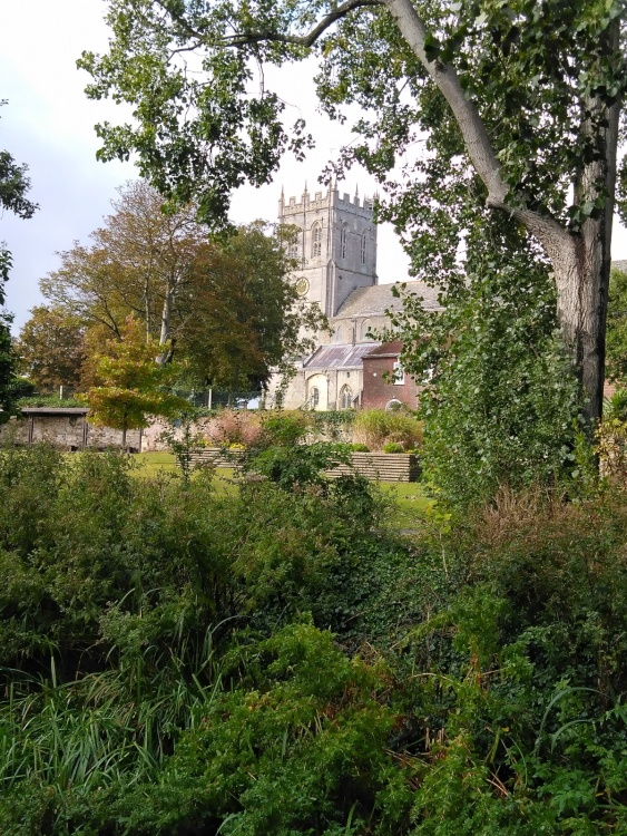 Christchurch Priory amidst the trees