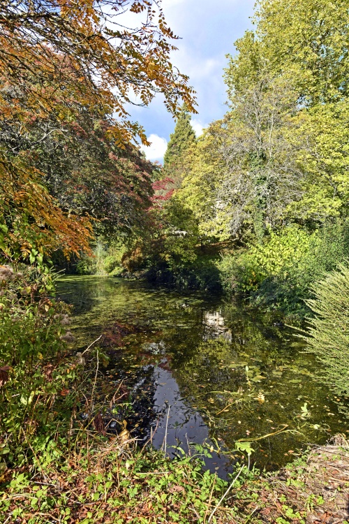 The Botanical Gardens, Bath