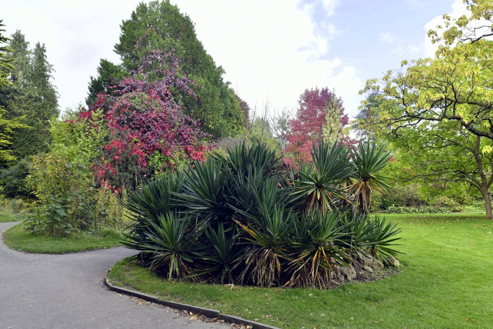 The Botanical Gardens, Bath