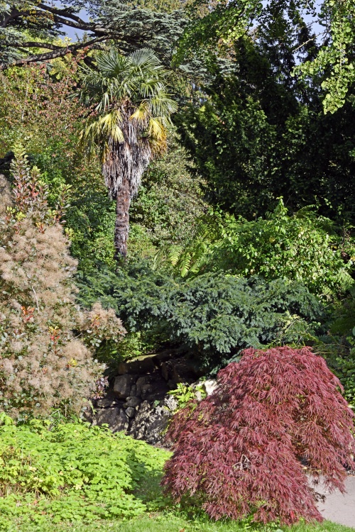 The Botanical Gardens, Bath