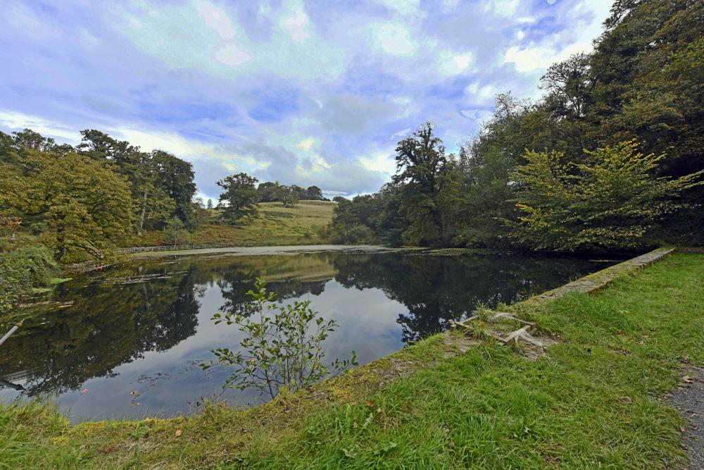 Lake in the grounds of Newton House, Dinefwr photo by Paul V. A. Johnson