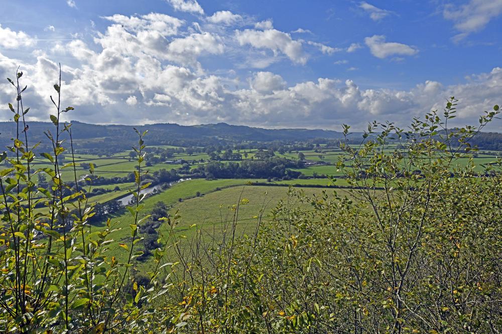 View from Dinefwr Castle photo by Paul V. A. Johnson