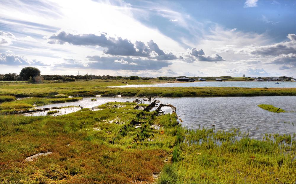 Rotten Boat Remains in the Kench Saltmarsh on Hayling Island