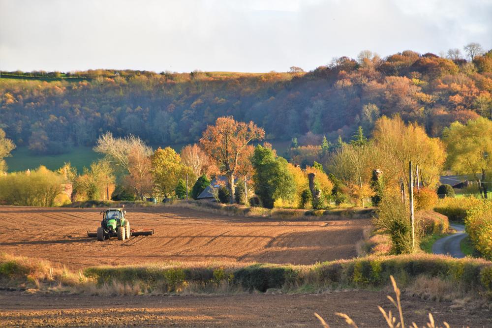 Working in the Autumn Sunshine, Broome, South Shropshire.