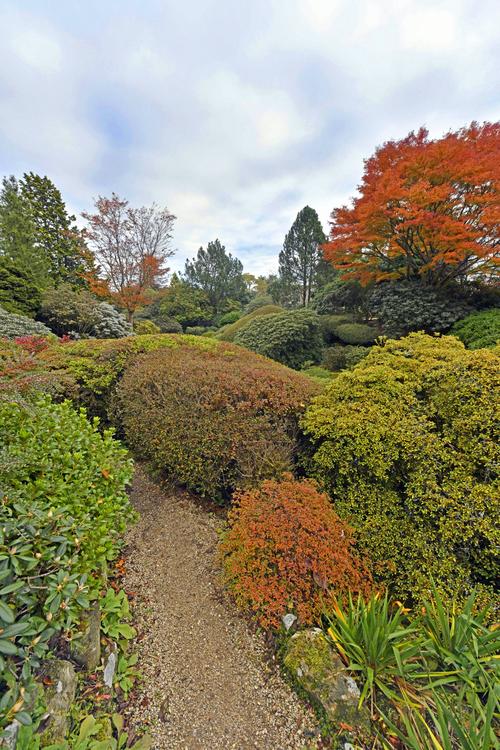 Leonardslee Gardens, Horsham