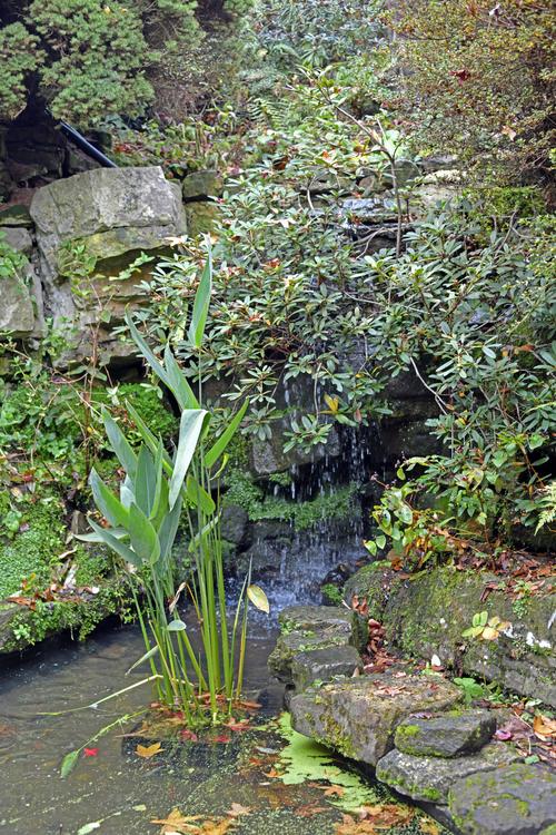 Leonardslee Gardens, Horsham