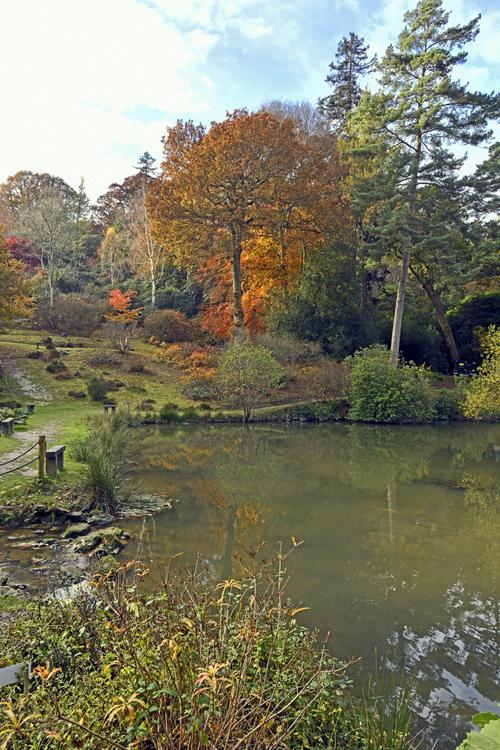Leonardslee Gardens