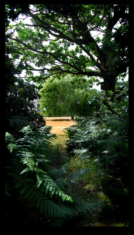 Parkland at sutton Hoo
