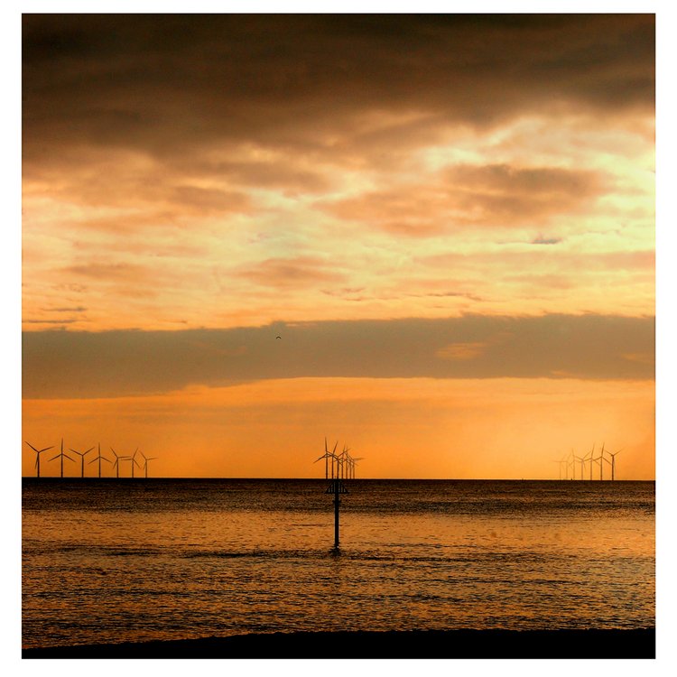 evening wind farm