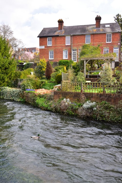 Riverside Houses on Wolvesey Terrace