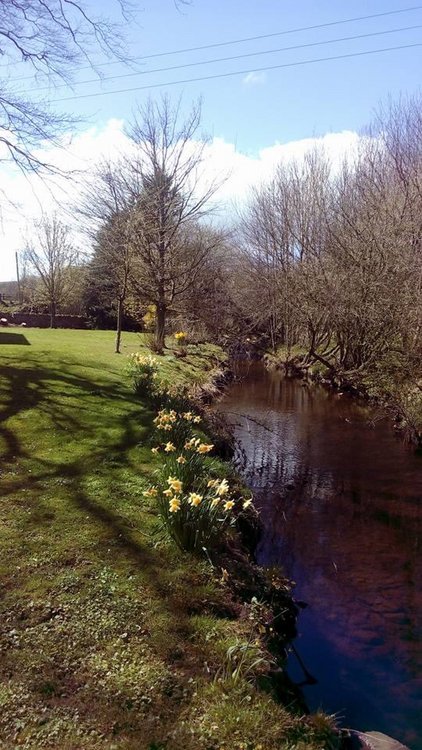 Spring at Burnside b&b