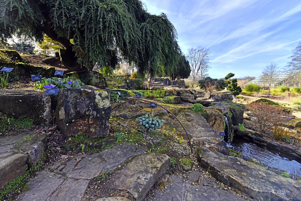 Garden at RHS Wisley