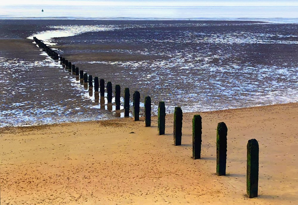Photograph of Beach posts