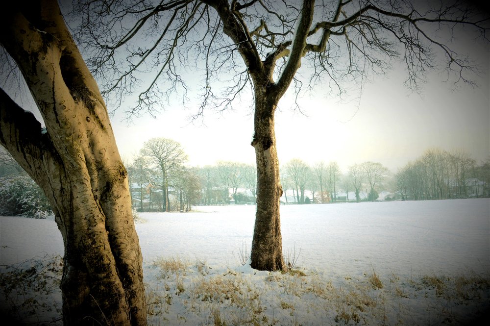 Snow in Sugden Park, Gomersal, Cleckheaton, West Yorkshire.