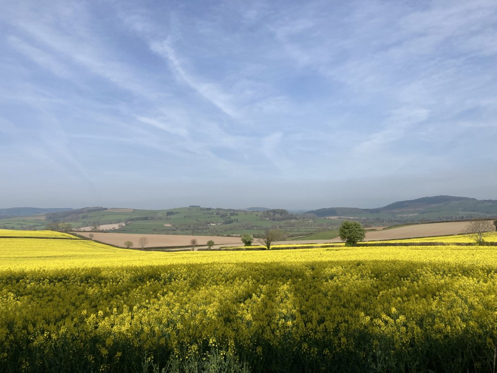 Beautiful morning for a walk