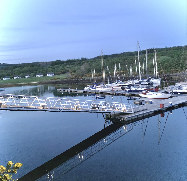 Portavaidie marina,