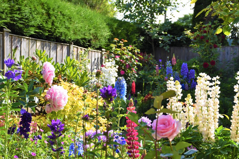 An English Cottage Garden.