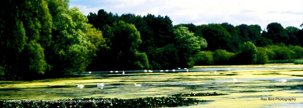 Frampton Court Lake, Frampton on Severn, Gloucestershire
