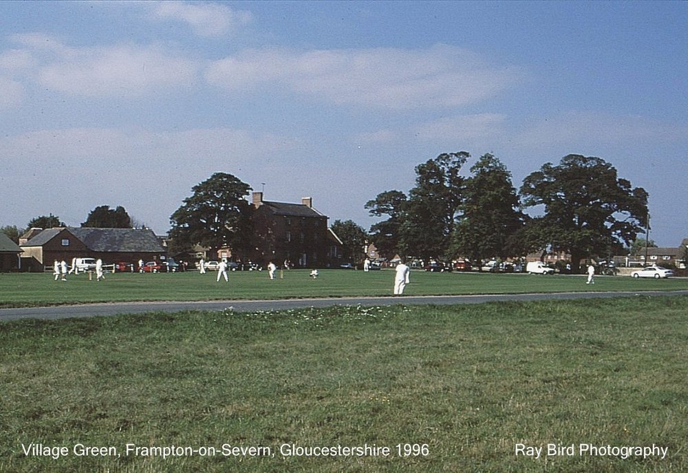 Aggresive Swan Display, nr Frampton on Severn, Gloucestershire