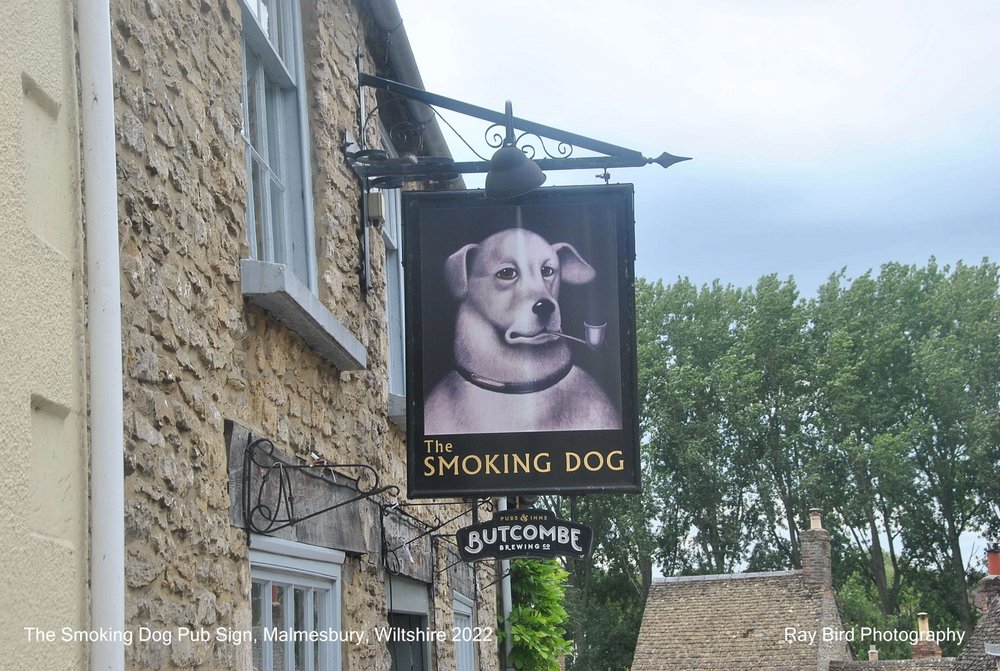 The Smoking Dg Pub Sign, Malmesbury, Wiltshire 2022
