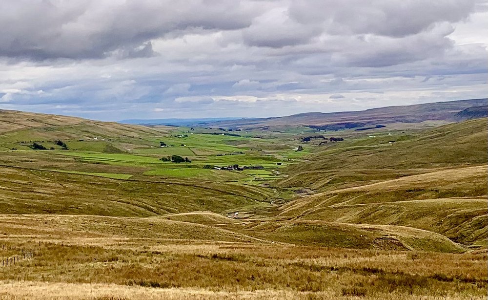 Harwood Dale Nr.Barnard Castle.