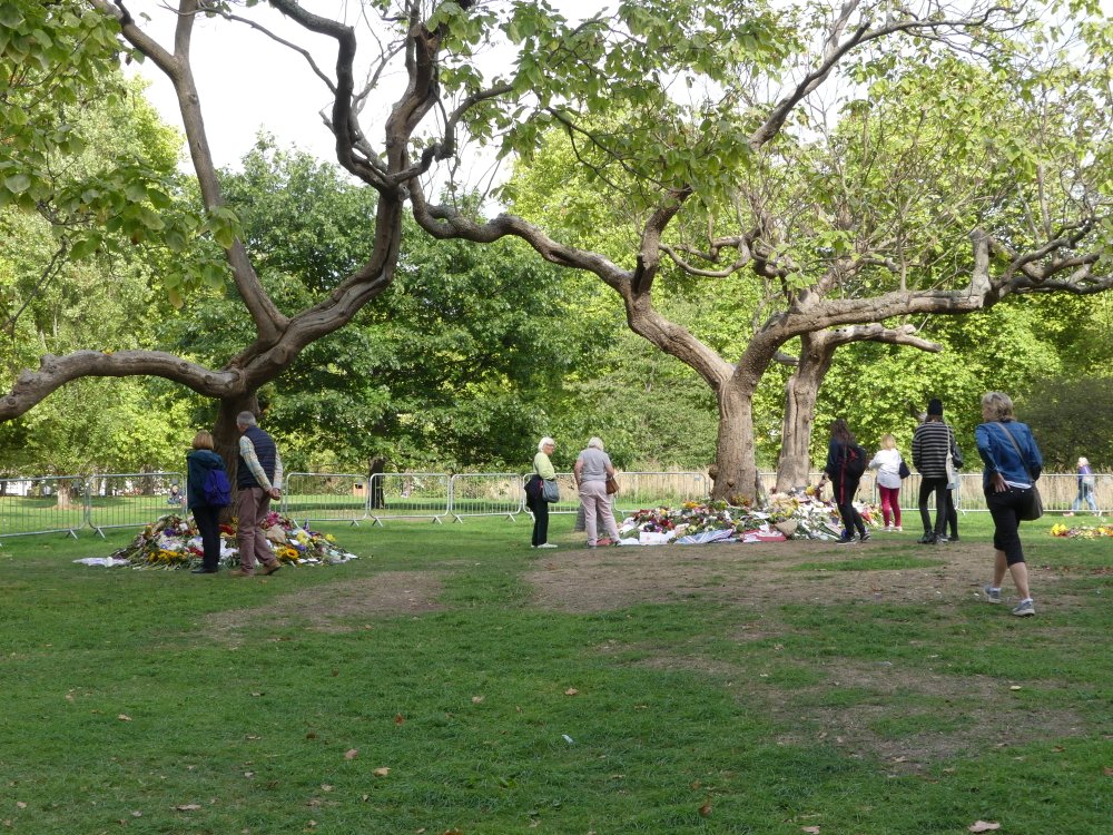 Tributes to Her Majesty in Green Park
