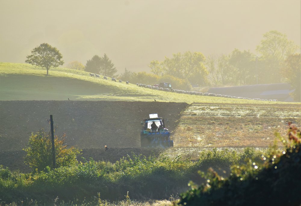 Ploughing on an  Autumn Morning.