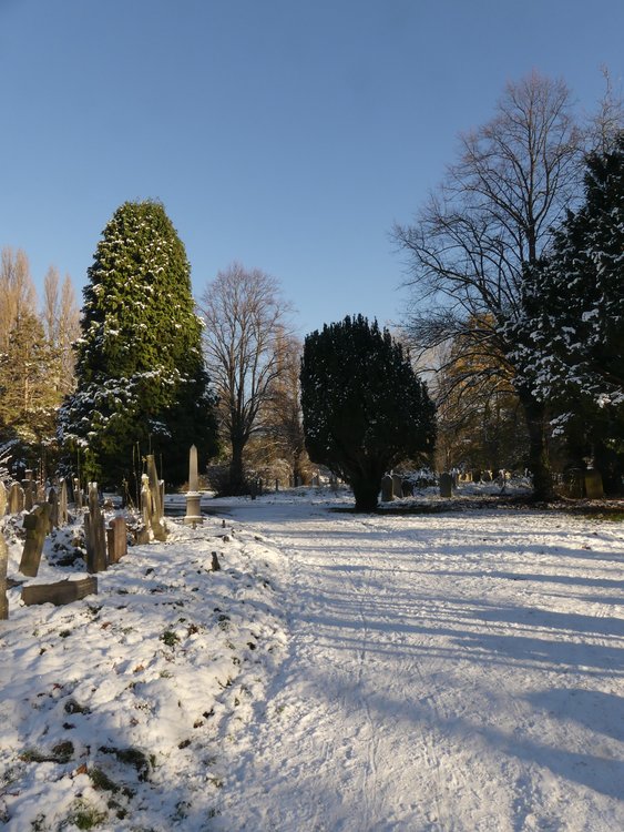 Ladywell Cemetery in The Snow