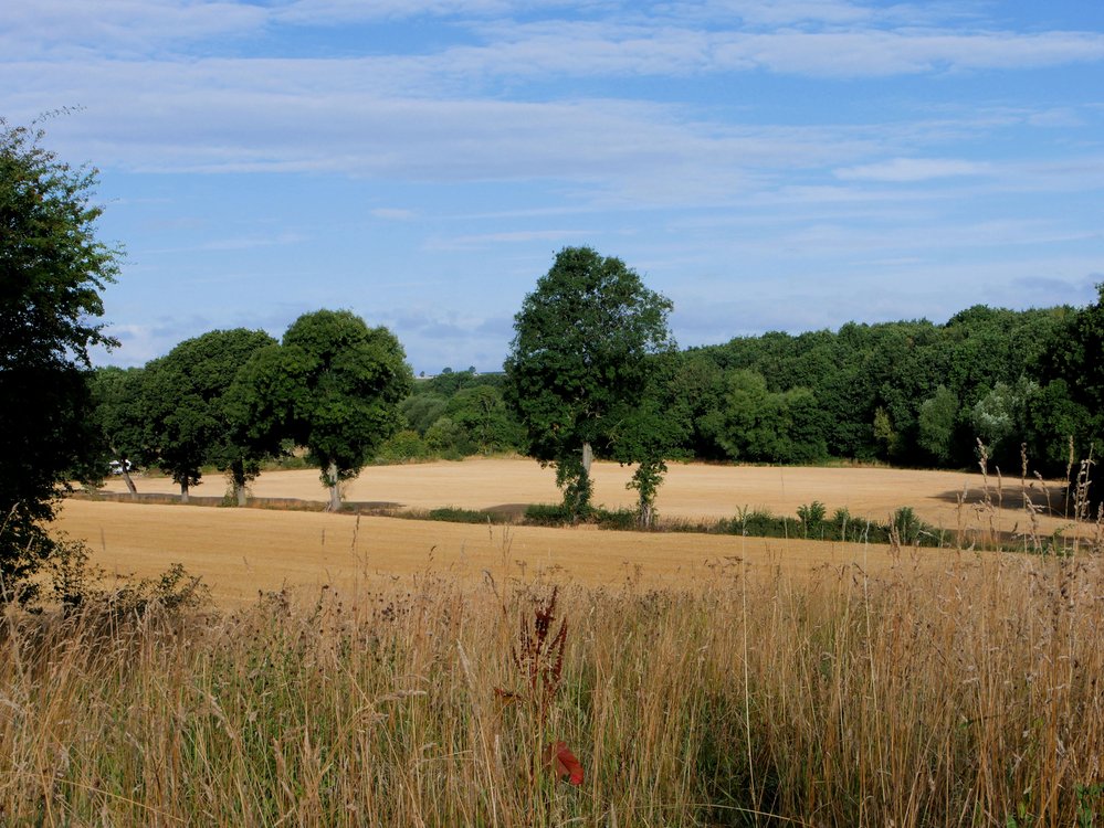 Photograph of Crop Fields at Cold Hiendley