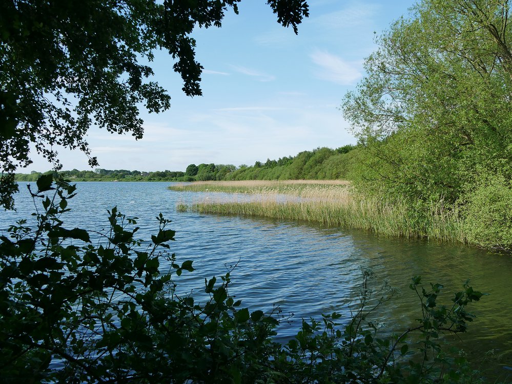 Wintersett Reservoir