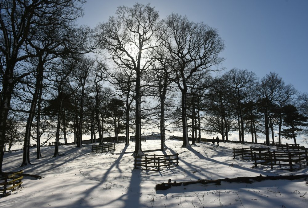 Bradgate Park