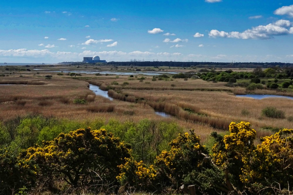 Minsmere Bird Reserve