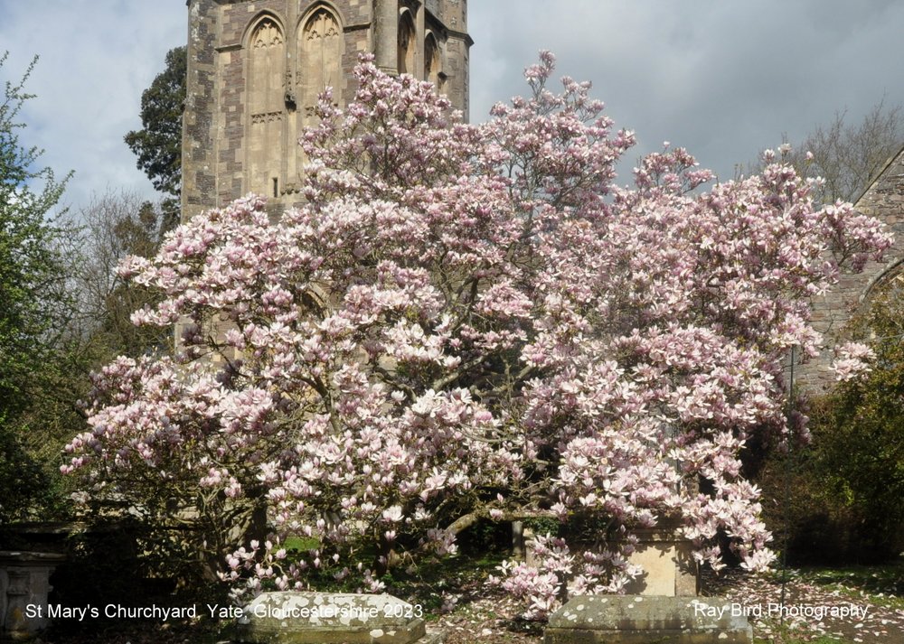 St Mary's Church, Yate, Gloucestershire 2023