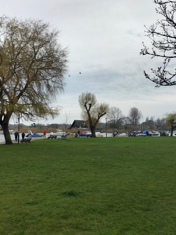 Interesting scene in Christchurch