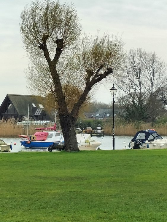 Interesting scene in Christchurch